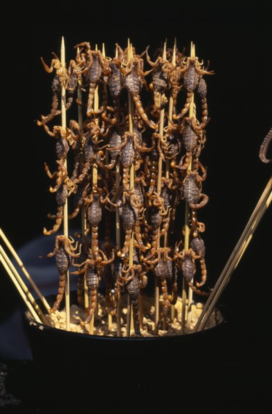 CHINA, Beijing, Barbequed scorpions on bamboo skewers.