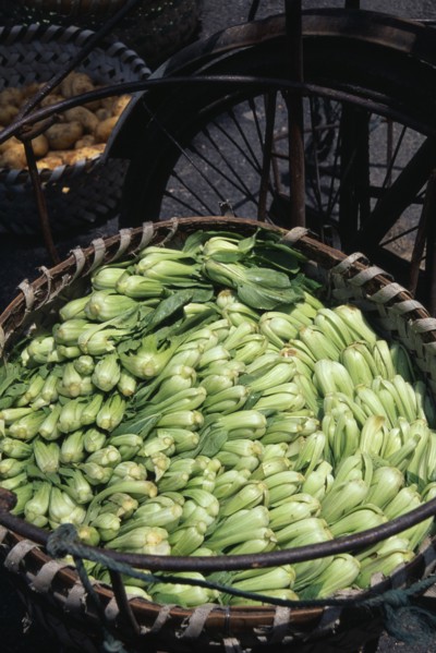 CHINA, Shanghai, "Pak Choi packed in large, circular woven wicker basket."