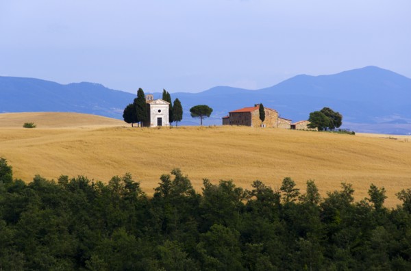 ITALY, Tuscany, San Quirico D’Orcia, Chapel and farmhouse set amongst wheatfields on the top of a