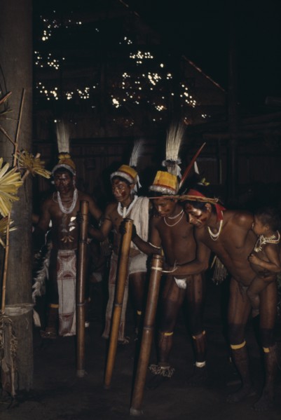 COLOMBIA, North West Amazon, Tukano Indigenous People, Barasana stave dance.  Line of male dancers