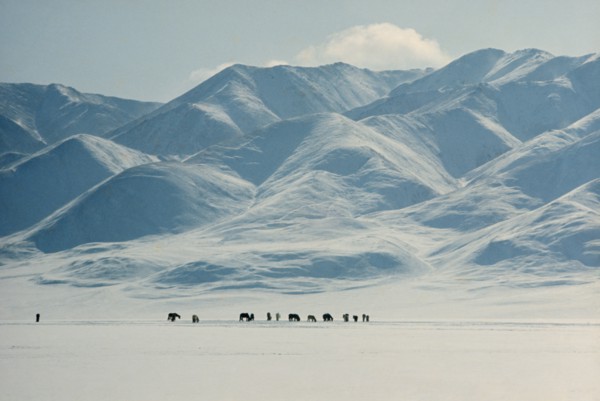 MONGOLIA, Altai Mountains, Gobi Desert, Mid-winter snow-covered landscape on edge of Gobi desert