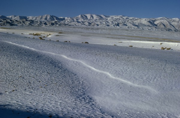 MONGOLIA, Gobi Desert, Biger Negdel, Mid-winter with snow-covered desert pastures. Onvoy of trucks