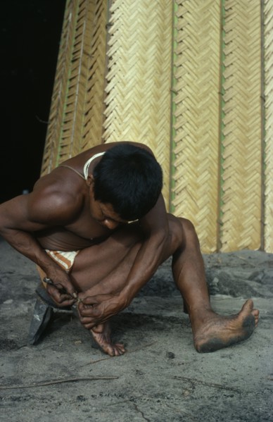COLOMBIA, North West Amazon, Tukano Indigenous People, Barasana man removing palm spine from foot
