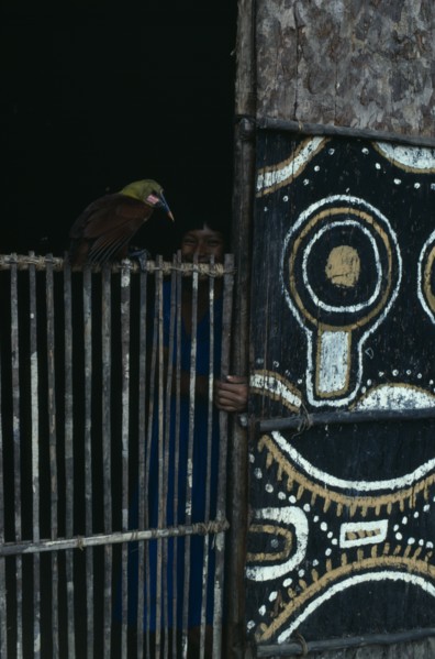 COLOMBIA, North West Amazon, Tukano Indigenous People, Detail of Makuna communal tribal home or