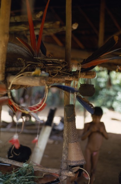 COLOMBIA, North West Amazon, Vaupes, Macaw feather ceremonial crowns and finely woven blow pipe