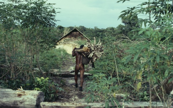 COLOMBIA, North West Amazon, Tukano Indigenous People, "Barasana Indian returns to maloca/communal