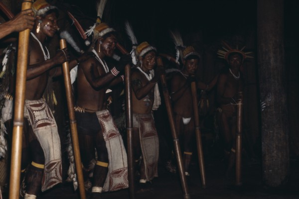 COLOMBIA, North West Amazon, Tukano Indigenous People, "Barasana stave dance  hollow yarumo wood