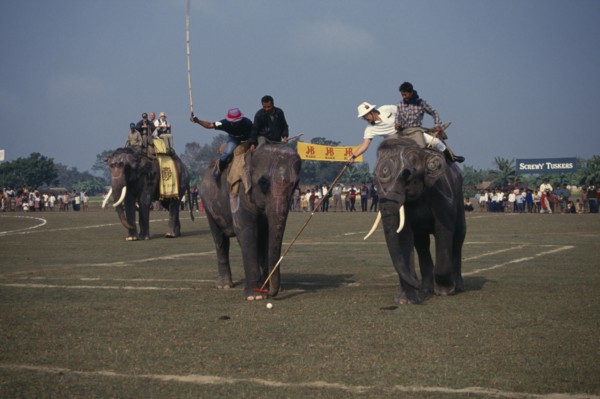 NEPAL, Chitwan National Park, A match taking place at the World Elephant Polo Championships