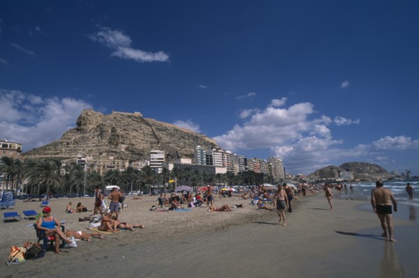 SPAIN, Pais Valenciano, Costa Blanca, "Alicante.  Sunbathers on sandy beach lined with palm trees