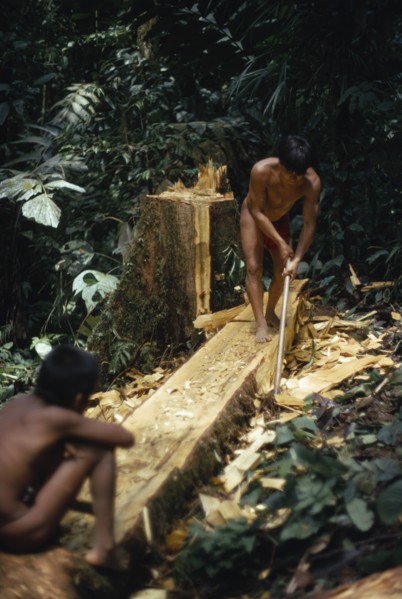 COLOMBIA, Choco, Embera Indigenous People, "Hueso, an Embera father using axe to make family dug