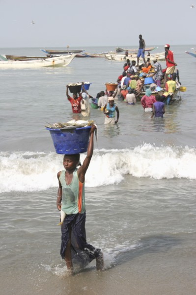 GAMBIA, Western Gambia, Tanji, Tanji coast.  Women carrying bowls full of fish on their heads