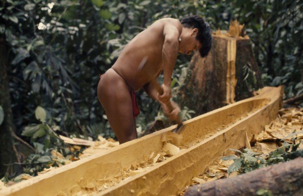 COLOMBIA, Choco, Embera Indigenous People, "Hueso, an Embera man, uses an axe/adze to hollow out