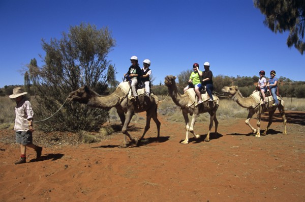 AUSTRALIA, Northern Territory, Uluru, "Kata Tjuta National Park, Camel train and riders, Mount
