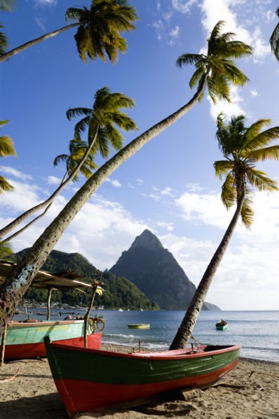 WEST INDIES, St Lucia, Soufriere, Fishing boats on the beach lined with coconut palm trees with the
