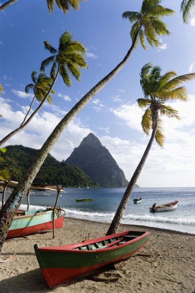 WEST INDIES, St Lucia, Soufriere, Fishing boats on the beach lined with coconut palm trees with the
