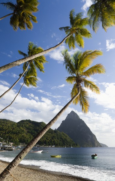 WEST INDIES, St Lucia, Soufriere, Fishing boats on the beach lined with coconut palm trees with the