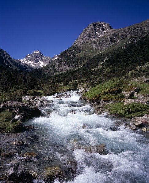 FRANCE, Midi-Pyrenees, Hautes-Pyrenees, Vallee de Lutour looking south with snow covered peak of
