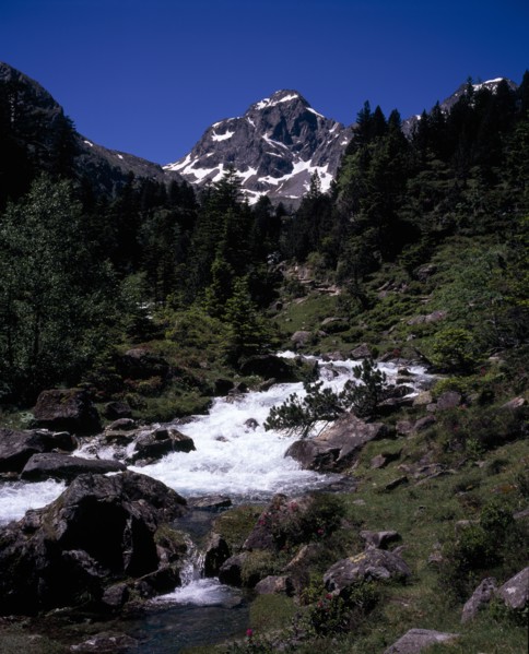 FRANCE, Midi-Pyrenees, Hautes-Pyrenees, Vallee de Lutour looking south with snow covered peak of