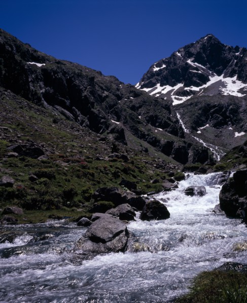 FRANCE, Midi-Pyrenees, Hautes-Pyrenees, Vallee du Lutour.  Upper valley view south towards snow