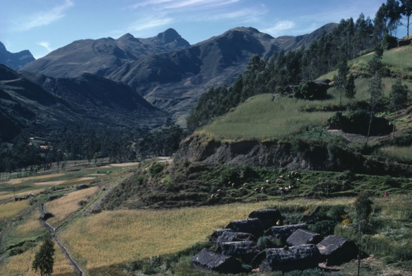 BOLIVIA, Altiplano, Settlement of houses with thatched roofs surrounded by green hills and slopes