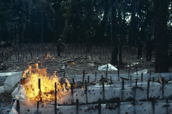 COLOMBIA, , The army burning and destroying a jungle cocaine laboratory in the war against illegal