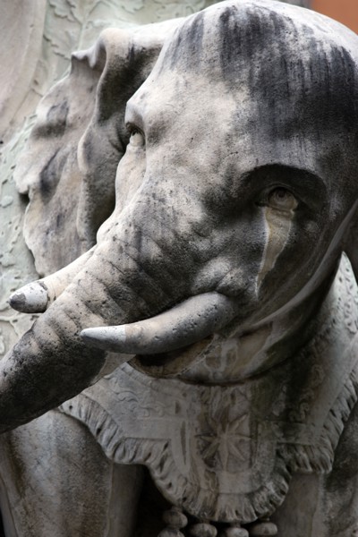 ITALY, Lazio, Rome, Bernini's marble elephant in the Obelisk of Santa Maria sopra Minerva in the