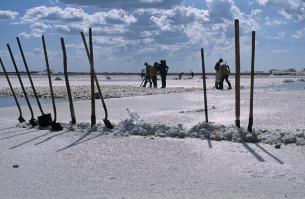 COLOMBIA, La Guajira, Manaure, Salt Mine worked by Guajiro / Wayu Indians. Long handled spades