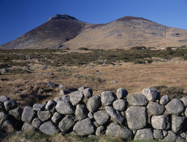 IRELAND, North, County Down, "Mourne Mountain landscape with gorse and coarse, golden brown