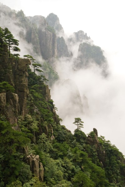 CHINA, Anhui Province, Huang Shan , Huangshan or the Yellow Mountain. Rock peaks with lush green