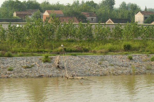 CHINA, Hubei, Yangtze, A man fishing on the lower embankment. Two lined embankments protect this