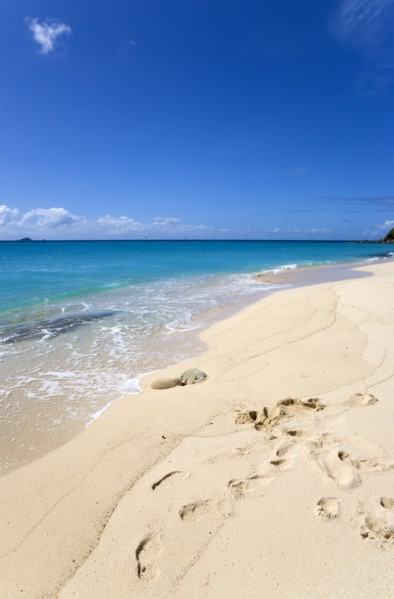 WEST INDIES, St Vincent And The Grenadines, Canouan Island, South Glossy Beach in Glossy Bay with