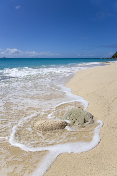 WEST INDIES, St Vincent And The Grenadines, Canouan Island, South Glossy Beach in Glossy Bay with