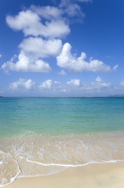 WEST INDIES, Grenada, Carriacou, Waves breaking on Paradise Beach at L'Esterre Bay with the