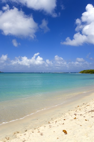 WEST INDIES, Grenada, Carriacou, Waves breaking on Paradise Beach at L'Esterre Bay with the