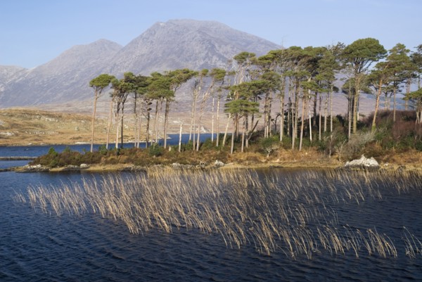 20093575 IRELAND Galway Connemara Derryclare Lough with Maumturk Mountains behind