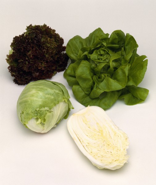 FOOD, Vegetable, Lettuces