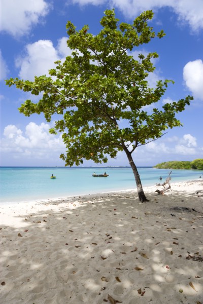 WEST INDIES, Grenada, Carriacou, The calm clear blue water breaking on Paradise Beach in L'Esterre