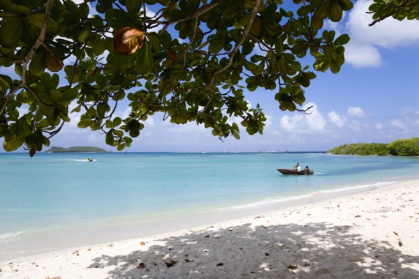 WEST INDIES, Grenada, Carriacou, The calm clear blue water breaking on Paradise Beach in L'Esterre