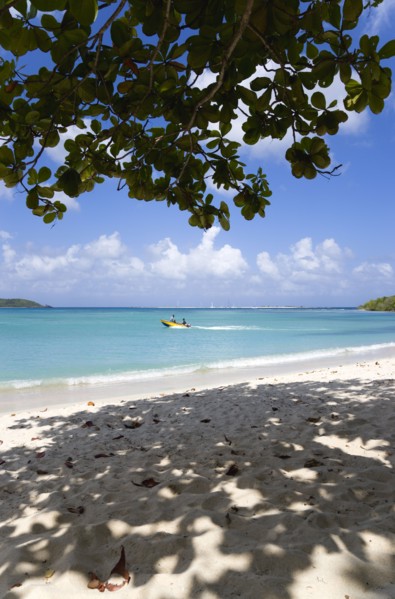WEST INDIES, Grenada, Carriacou, The calm clear blue water breaking on Paradise Beach in L'Esterre