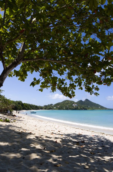 WEST INDIES, Grenada, Carriacou, The calm clear blue water breaking on Paradise Beach in L'Esterre