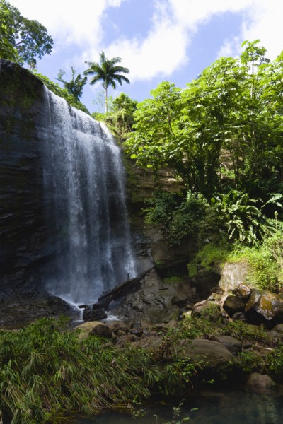 WEST INDIES, Grenada, St Andrew, Water cascading down the Royal Mount Carmell Waterfall surrounded