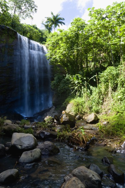 WEST INDIES, Grenada, St Andrew, Water cascading down the Royal Mount Carmell Waterfall surrounded