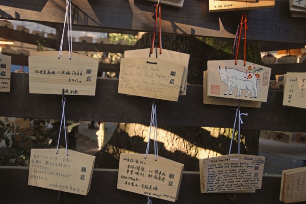 JAPAN, Honshu, Tokyo, "Jingumae - at Meijijingu shrine, ema wooden cards with New Years resolutions