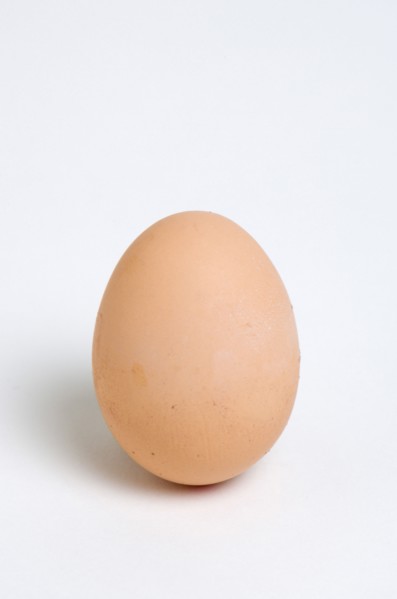 FOOD, Uncooked, Eggs, One hard boiled free range egg on a white background.