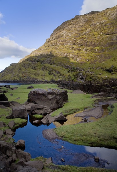 IRELAND, County Kerry, Killarney, Gap of Dunloe  Lakes mountains and...sheep.