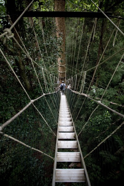 Malaysia, Central Pahang, Taman Negara, People wandering on the canopy walkways of the worlds