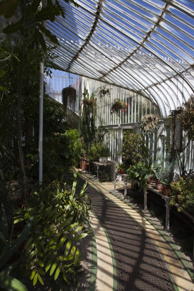 Ireland, Northern, Belfast, Botanic Gardens with people sat on benches outside the Palm House next