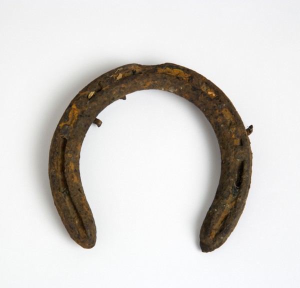 Animals, Mammals, Horses, Rusty old horsehoe on a white background.