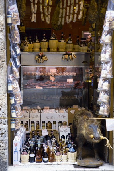 ITALY, Tuscany, San Gimignano, Shop display of chianti wines and wild boar products with a stuffed