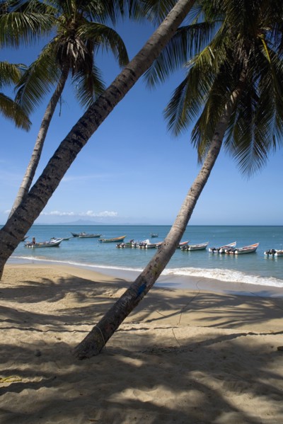 VENEZUELA, Margarita Island, Playa la Galera, View of exotic beach with palm trees and their shades